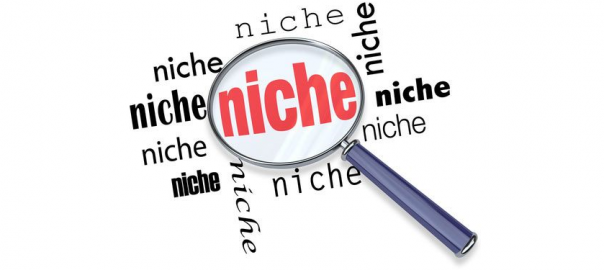 How to find a Niche for Business
