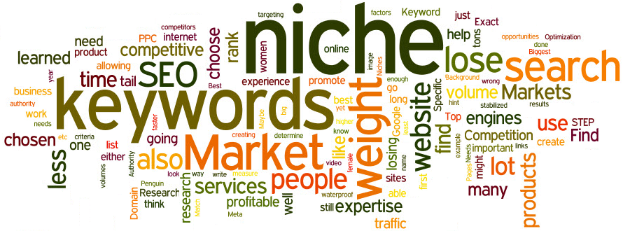 2016 What is niche marketing